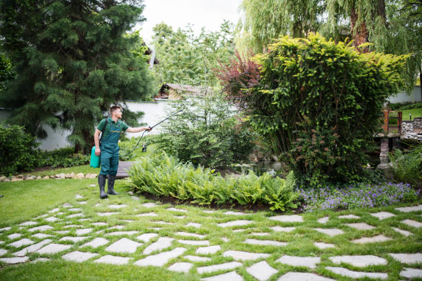 Best Lawn Watering Services  in Jackson, CA